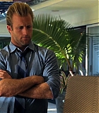 H50122-00176.jpg