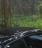 H1002-0183.jpg