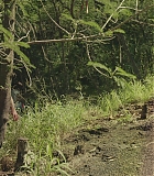 H1014-0701.jpg