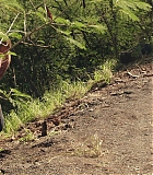 H1014-0706.jpg