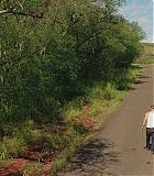 H1014-0737.jpg