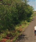 H1014-0738.jpg