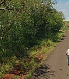 H1014-0739.jpg