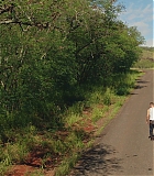 H1014-0740.jpg
