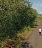 H1014-0744.jpg