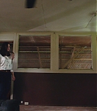 H1016-0273.jpg