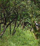 H1019-0075.jpg