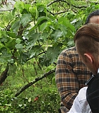 H1019-0145.jpg