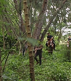 H1019-0158.jpg