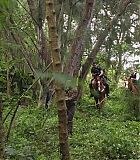 H1019-0159.jpg