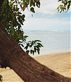 H1021-0256.jpg