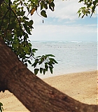 H1021-0257.jpg