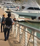 H50201-0160.jpg
