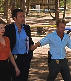 H50202-0005.jpg