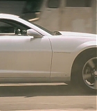 H50206-0150.jpg