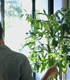 H50207-0160.jpg