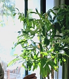 H50207-0161.jpg