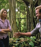 H50207-0200.jpg