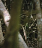 H50207-0226.jpg