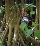 H50207-0233.jpg