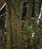 H50207-0235.jpg