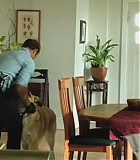 H50208-0079.jpg