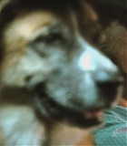 H50208-0088.jpg