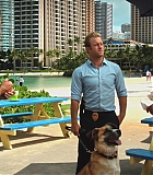 H50208-0172.jpg