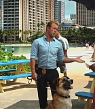 H50208-0173.jpg