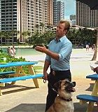 H50208-0174.jpg