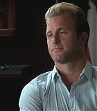 H50210-0043.jpg