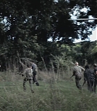 H50210-0113.jpg