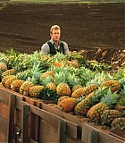 H50211-0037.jpg