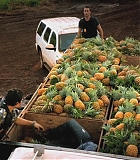 H50211-0039.jpg