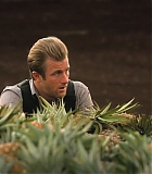 H50211-0041.jpg