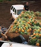 H50211-0042.jpg