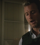H50212-0083.jpg