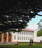H50213-0042.jpg
