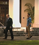 H50213-0101.jpg