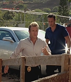 H50213-0117.jpg