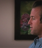 H50214-0050.jpg