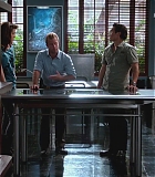 H50216-0081.jpg