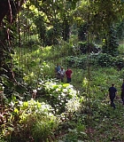 H50217-0023.jpg