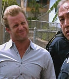 H50217-0113.jpg