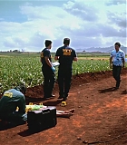 H50220-0053.jpg
