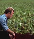 H50220-0063.jpg