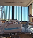 H50221-0237.jpg
