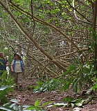 H310-0163.jpg