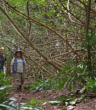 H310-0164.jpg