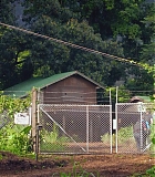 H311-0231.jpg